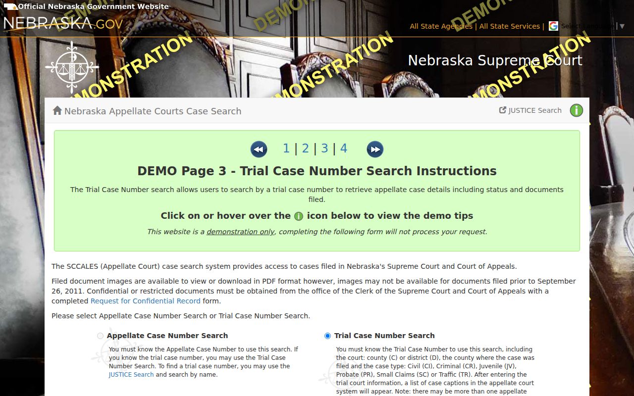 Dakota County case search JUSTICE case-number components and case types